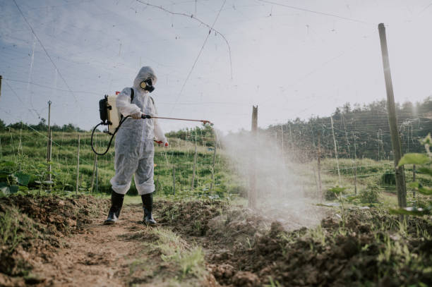 Best Best Pest Control Companies  in Brookdale, CA