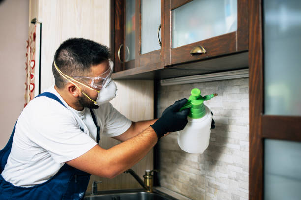 Best Wasp Removal Services  in Brookdale, CA