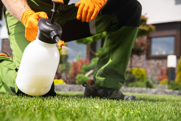 Best Pest Inspection Near Me  in Brookdale, CA