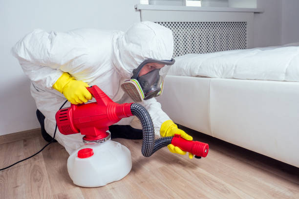 Best Wasp Removal Services  in Brookdale, CA