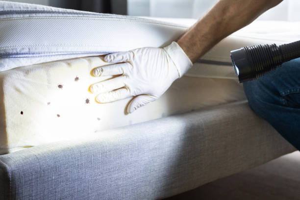 Trusted Brookdale, CA Pest Control Experts