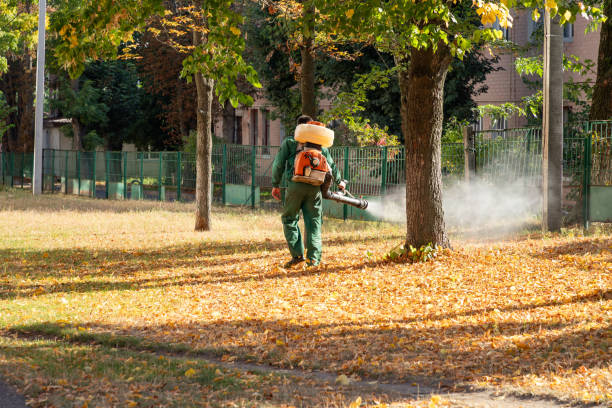 Best Pest Control Near Me  in Brookdale, CA