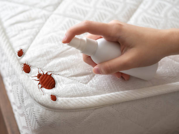 Best Residential Pest Control  in Brookdale, CA