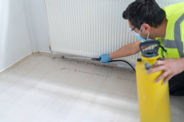 Best Pest Inspection Near Me  in Brookdale, CA