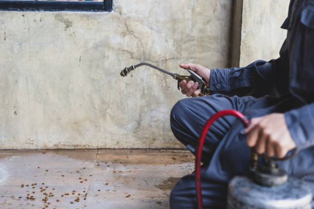 Best Pest Prevention Services  in Brookdale, CA
